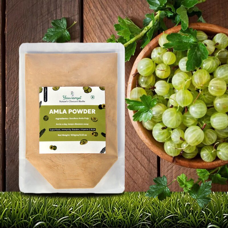 Amla Powder - Image 3