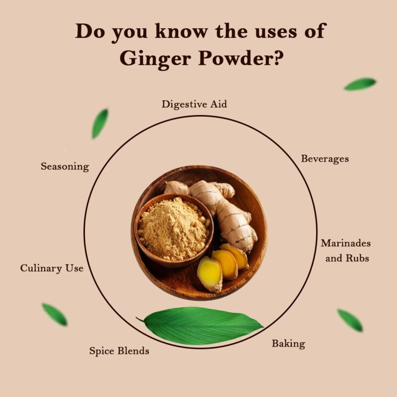 Ginger Powder - Image 4
