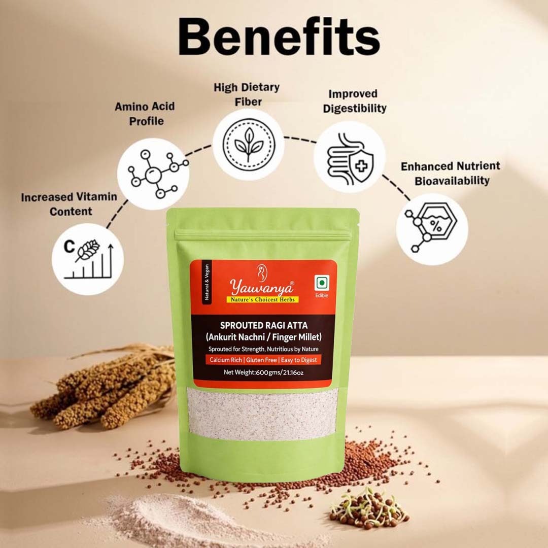 Yauvanya Sprouted Ragi Atta 600g | Ragi Malt (Nachni Satva) | Gluten Free | High Calcium & Protein - Image 3