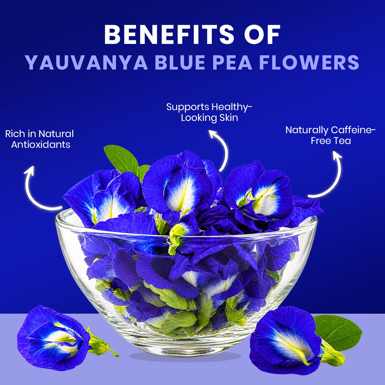 Yauvanya Dried Blue Pea Flowers (Aparajita / Shankhpushpi) – 100% Natural Butterfly Pea Flower Herbal Tea - Image 2